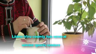 Active holiday. Estonia, North-Estonia, Lääne-Virumaa.