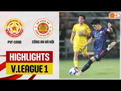 bg-highlight