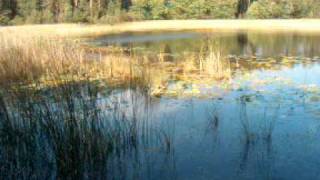 preview picture of video 'Rezerwat przyrody - Jezioro Zdręczno'