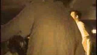 Misery Signals- In Summary of What I Am