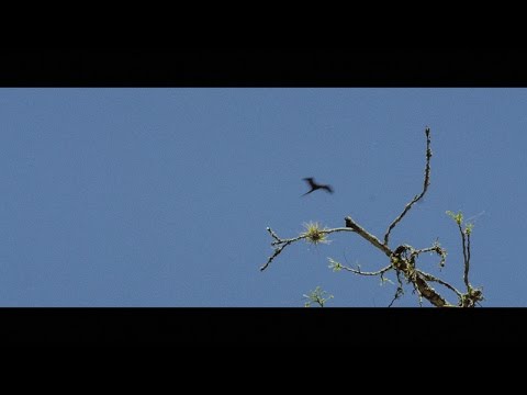 Gregory Chaitin, Against Method. Outtakes: Unexplained Explosion