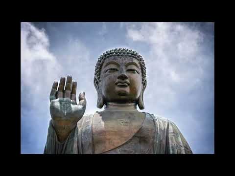 The Biological Imperative of Relationships | Legacy, Purpose & Spiritual Truths