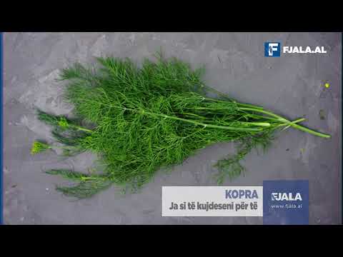 Kopra, ja si të kujdeseni për të
