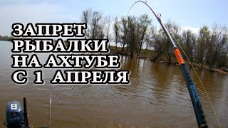 Ссылка