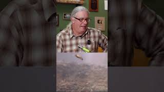 People Get Upset Over How This Nymph Pattern is Tied