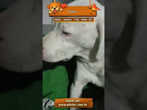 Vídeo de hades