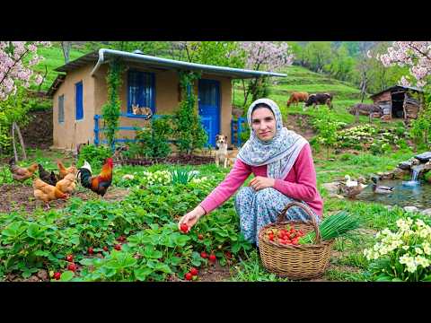 Life in the Coldest Mountain Village in Iran | Amazing Bread and Food Recipes