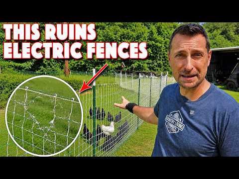 The #1 Thing That Ruins Electric Poultry Netting And How To Repair It!