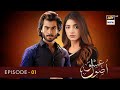 Usool E Ishq - Episode 01 | Haroon Kadwani | Kinza Hashmi | Har Pal Geo | News | Dramaz ETC