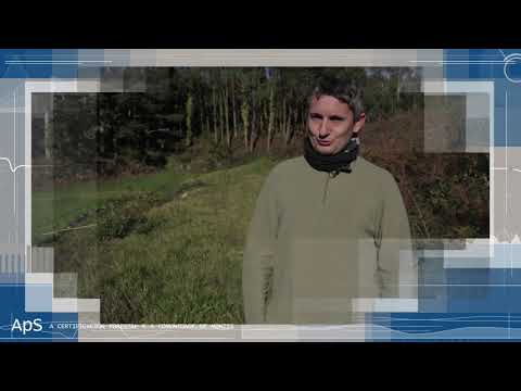 Vídeo: A certificación forestal e a comunidade de montes