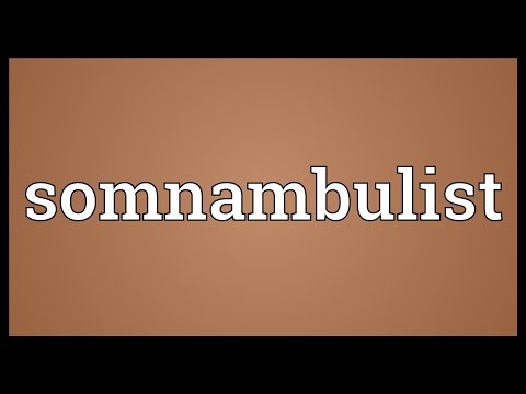 Somnambulist Meaning