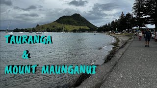 Quantum of the Seas Tauranga & Mount Maunganui - NZ