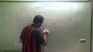 النقد الكتابي واللغة اليونانية (13) التكملة الأخيرة لدراسة اليونانية القديمة للعهد الجديد image