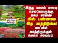 Ooty இந்த மாசம் ஊட்டி செல்வோருக்கு செம ச