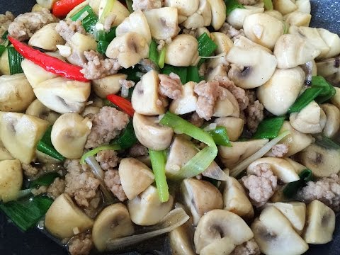 download lagu mp3 mp4 Ground Pork Mushrooms, download lagu Ground Pork Mushrooms gratis, unduh video klip Ground Pork Mushrooms