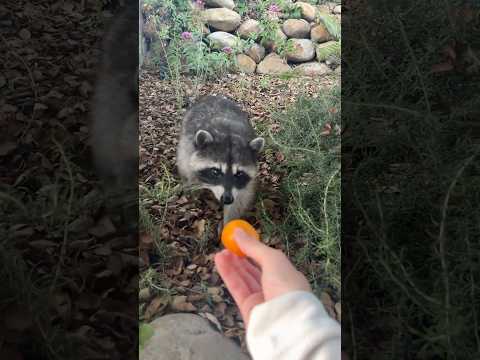 I FEEL LIKE SNOW WHITE🥹