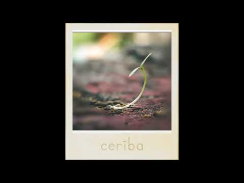 Šaks - Cerība