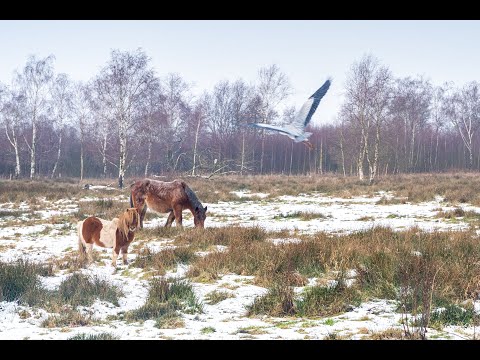 Pieterpad etappe 3, van Groningen naar Zuidhorn