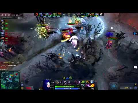 Tims Saved Kuku, Tims Saved The Day!