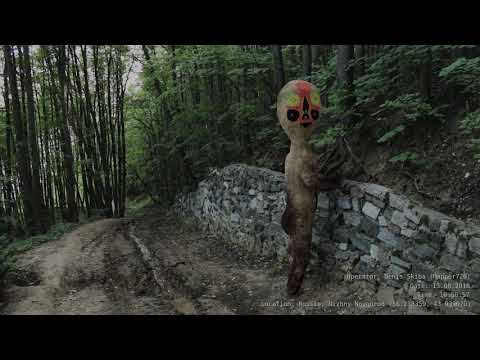 Нечто в нижегородском лесу (SCP-173 in real life)