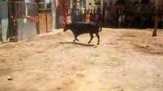 preview picture of video 'Toros en Fiesta Pueblo Vall Almonacid'