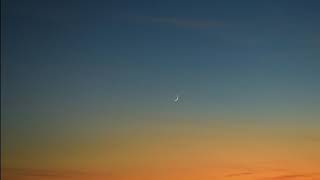 Novo Amor - Oh, Round Lake (Lyrics)