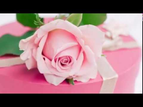 DANES JE TVOJ ROJSTNI DAN