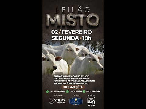 LEILÃO MISTO - SINDICATO RURAL DE MATUTINA-MG