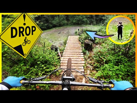 Riding Mt Prevost: The Most Legendary Trails on Vancouver Island!