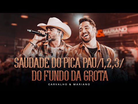 Saudade pica-pau / 1,2,3 / Do fundo da grota - Show ao vivo com Carvalho e Mariano As mais animadas