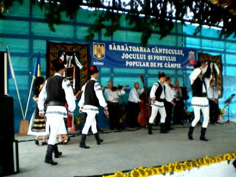 04 Ansamblul Muresul - Raciu - 20 iulie 2011 - SANY1324.MOV