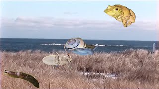 No Joy – My Crud Princess