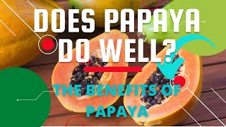 THE SECRET TO THE BENEFIT OF PAPAYA  | NATURE OF THE AMAZON