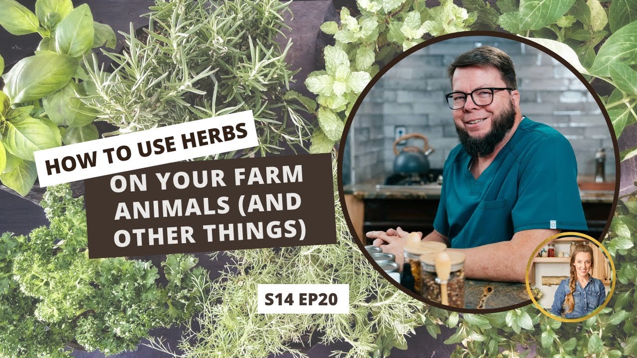 S14: E20: How to Use Herbs on Your Farm Animals (and other things)