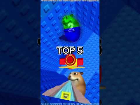 Top 5 longest name chomik #chomik #findthechomiks