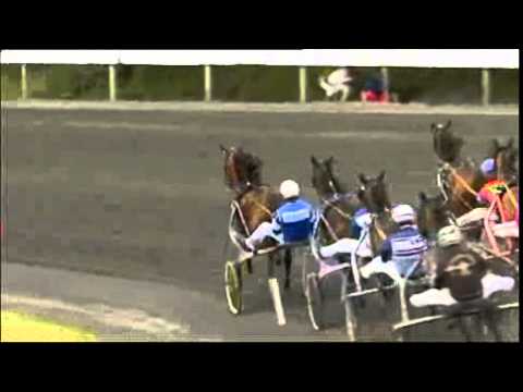 Trearselite Forus 2010 -Nevele Wood