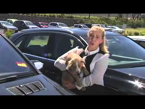 QUT TV News - Friday 20 September 2013