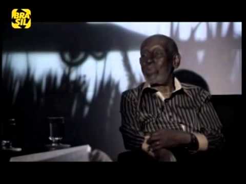 Matador de Passarinho   Rogerio Skylab entrevista Nelson Sargento