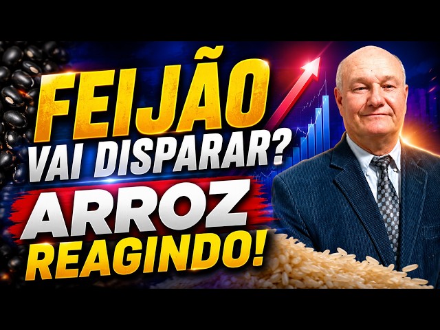 Feijão vai disparar? Arroz reage e a menor área de Trigo da história acende o alerta.