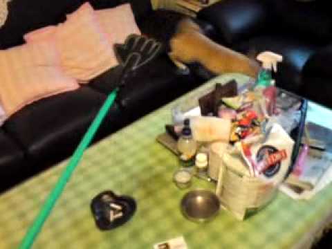 你家的狗 會那麼皮嗎?(原發表者:皮蛋哥)(體能訓練)