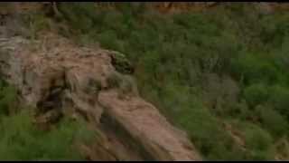 Chico Science & Nação Zumbi - Sangue de Bairro