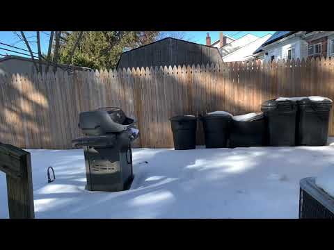 Winter Storm Quade: Calm before the Storm