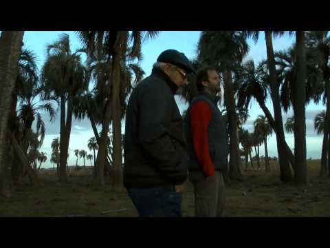 La vida y la venta en Vuelta del Palmar