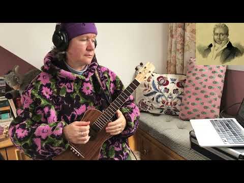 Op 241 No 21 by Carulli