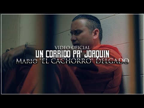Mario "El Cachorro" Delgado - Un Corrido Pa Joaquin (Video Oficial)