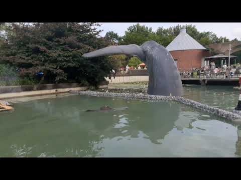 U-Boot 206 von Engel .2