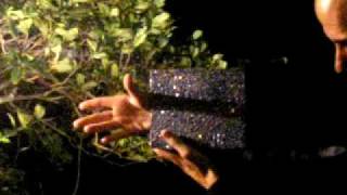 The Magic of David jowers