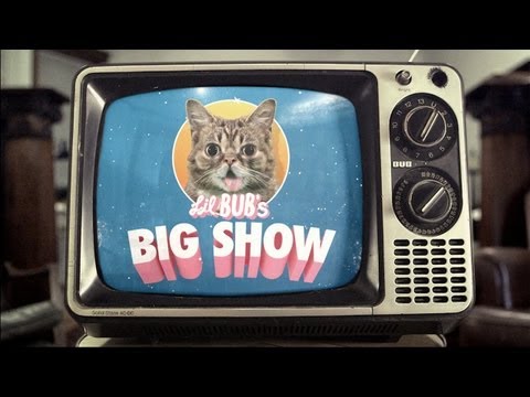 Official "Lil BUB's Big SHOW" Trailer