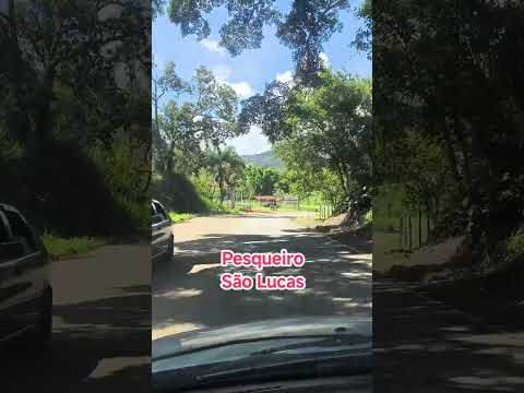 Boa tarde Galera.Um pouco de Dom viçoso mg.@carloshenrique447 