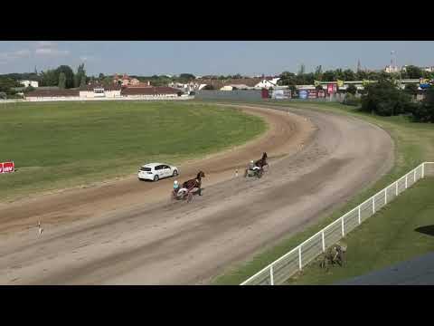 Тrка ′′ Zlаtаrstvо Dejan Šuкič c.p. s.p. Екipа СКП ′′ 31.07.2021 Leon Томаs А.Т. - Petar Кnект